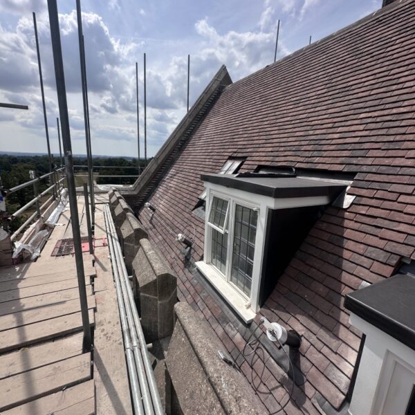 IMG_1940 IMG_1940